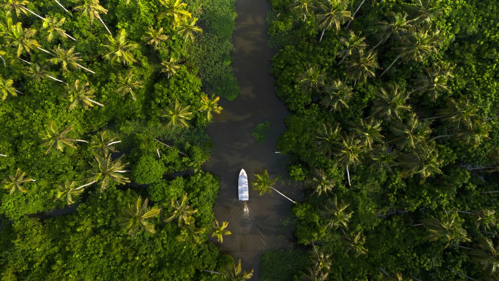 Aerial drone view of a boat cruising down a narrow palm-fringed canal